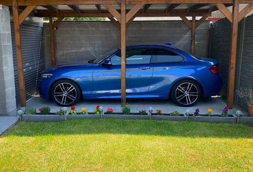 BMW Cabrio 218i OPF