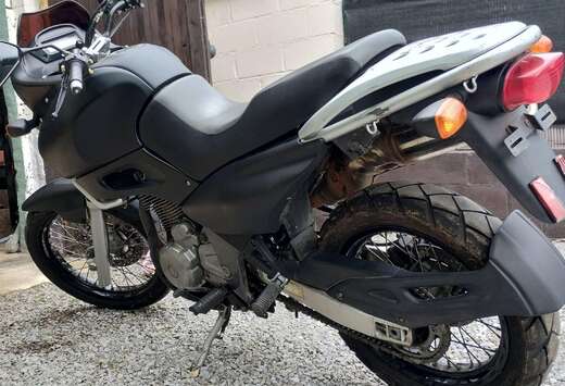 Suzuki freewing