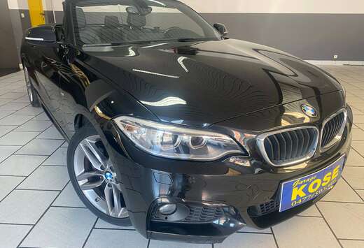 BMW Cabriolet 220d // 1ER PROPRIETAIRE+GARANTIE 12 MO ...