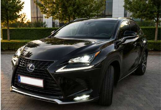 Lexus NX 300h 2.5i FWD Black Line E-CVT (EU6.2)