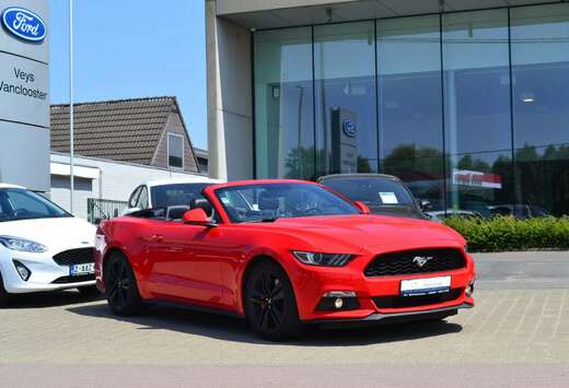 Ford Cabrio 2.3i