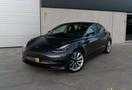 Tesla Standard Range l Towhook l Alu Wheels