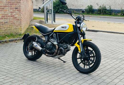 Icon 800