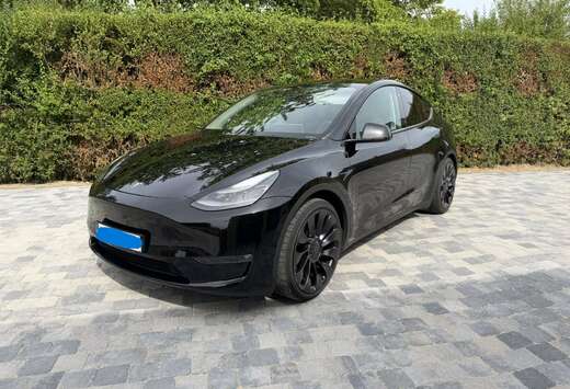 Tesla Model Y Performance (393 kW)