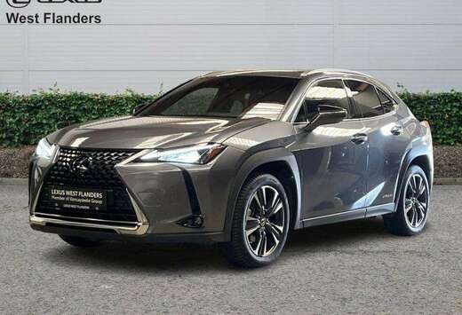 Lexus Executive Line