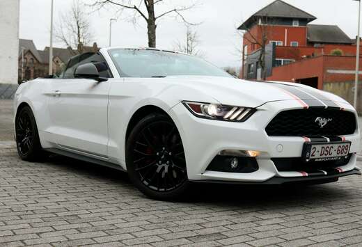 Ford Mustang Ecoboost Cabrio  V8-sound  Belgische wag ...