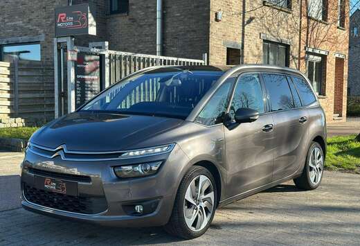 Citroen 2.0 BlueHDi Exclusive -7 zit-Massage-360 Came ...