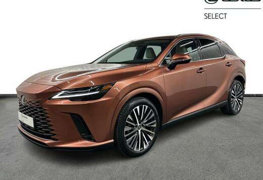 Lexus Executive Line