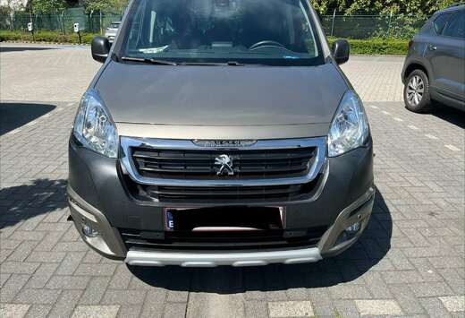 Peugeot 1.6 BlueHDi L2H1 Premium 121 S/S