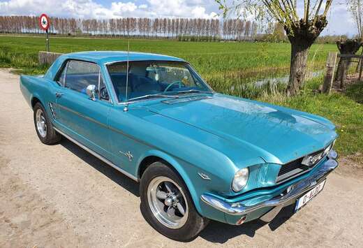 Oldtimer Coupe 5.0l v8  289 blok