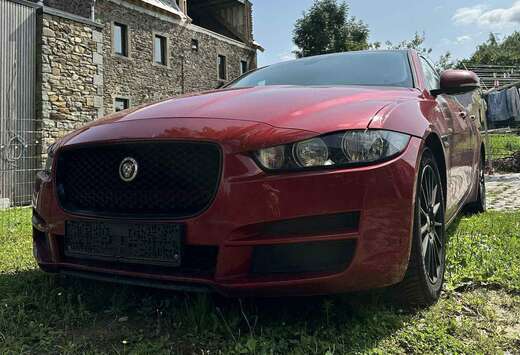 Jaguar XE 2.0 D E-Performance Business Ed.Prestige