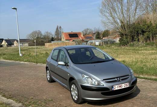 Peugeot 1.6i 16v XS