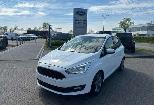 Ford Enkel voor professionele verkoop.
