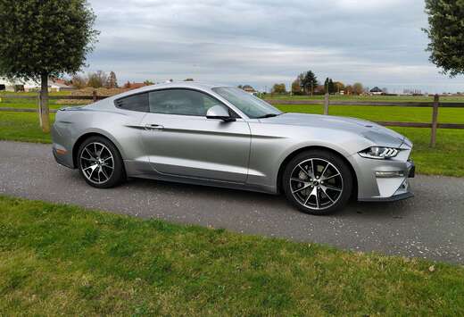 Ford Mustang 2.3 EcoBoost (EU6.2)
