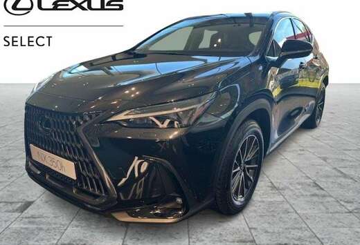 Lexus Executive Line