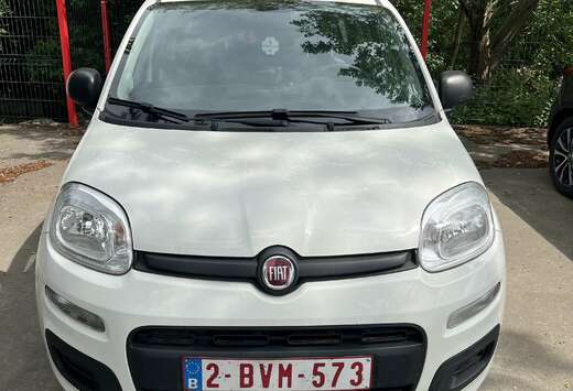 Fiat 1.0 70 ch Hybride BSG S/S City Cross