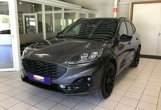 Ford 2.5 ST-Line AUTOMAAT BJ02/2024 7791KM AIRCO NAVI