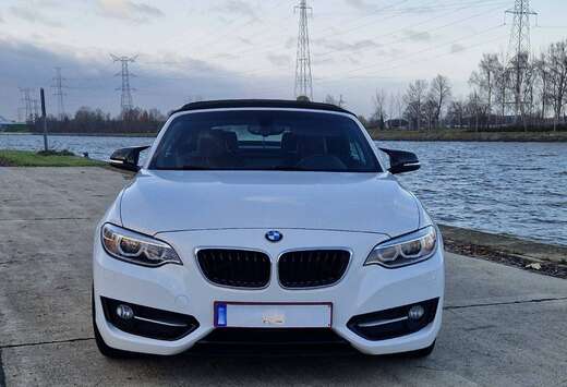 BMW Cabriolet 220 dAS
