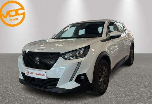 Peugeot Style