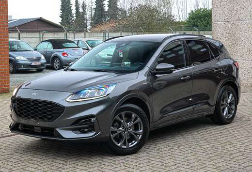 Ford ST-LINE*B&O-SOUNDSYST*LEDER-ALCANTA*SUUR+ZETELVE ...