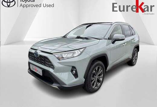 Toyota Dynamic Plus