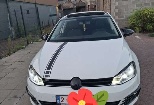 Volkswagen 1.6 CR TDi 4Motion Highline