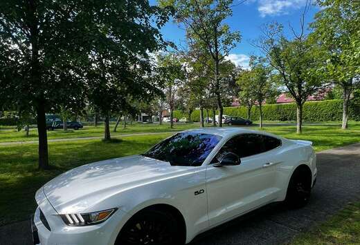 Ford 2.3 EcoBoost