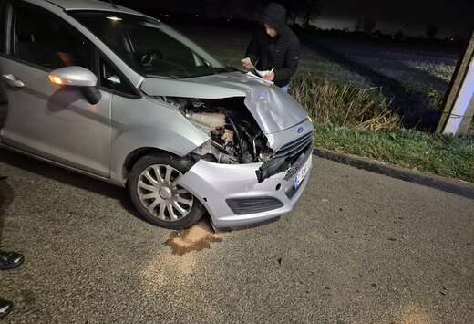 Ford 1.5 TDCi Celebration