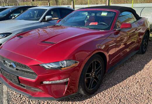 Ford Mustang Convertible 2.3 EcoBoost