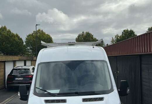 Ford 310 L3H2 Lkw VA Basis