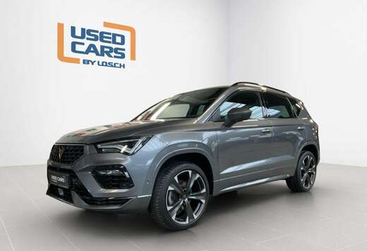 DSG+Dinamica+P.DriveXL+RearView