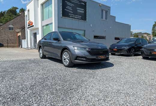 Skoda PHEV 1.4 TSI Clever DSG | NAVI/CARPLAY | CAMERA ...