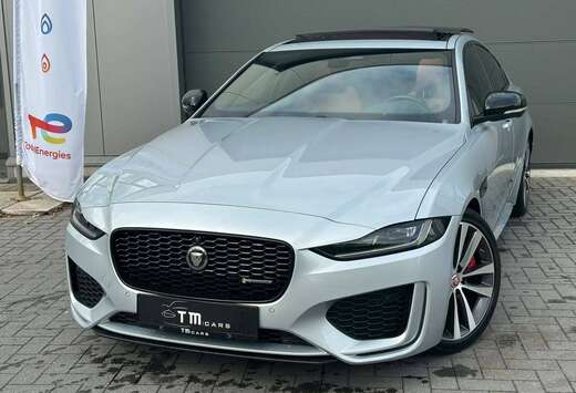 Jaguar LED/CAMERA/PANO DAK