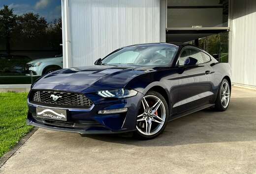 Ford 2.3, Cuir Chauff/Ventil, Cruise Adapt