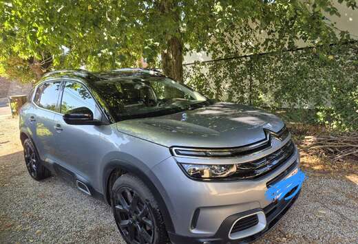 Citroen 1.5 BlueHDi Shine S&S