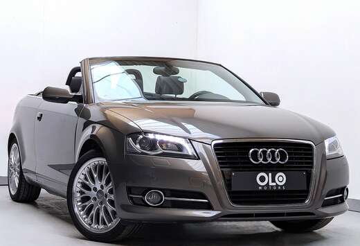 Audi Cabriolet 1.6 TDi Ambition / BOSE / CUIR / CARPL ...