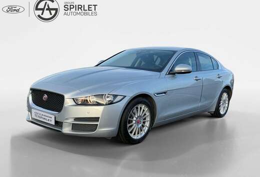 Jaguar Export-marchand uniquement