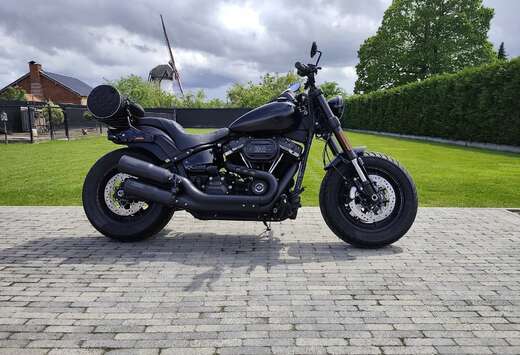 fat Bob 114