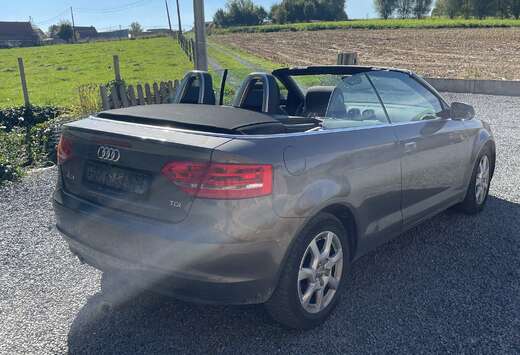Audi Cabriolet 1.6 TDi Ambition Start/Stop DPF