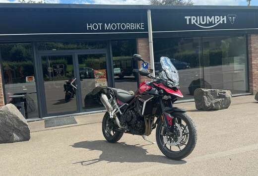 Triumph GT Pro (garantie 24 mois)