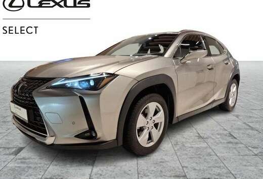 Lexus Business Line
