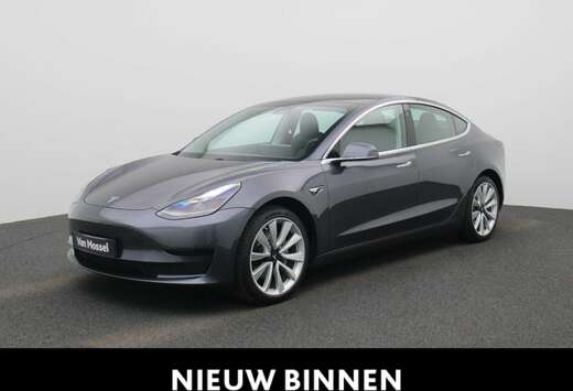 Tesla Standard RWD Plus 60 kWh Camera  PDC V+A  Zetel ...