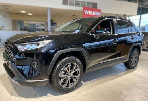 Toyota Team D.