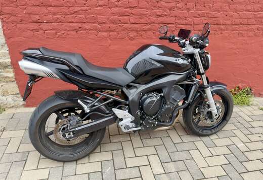 FZ6N