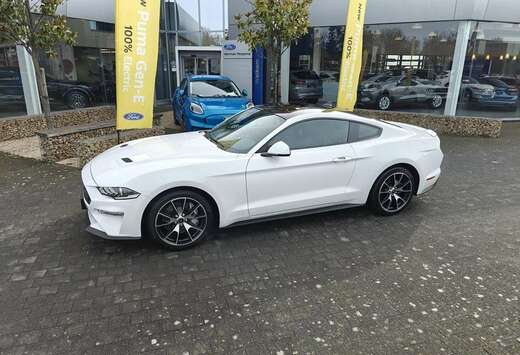 Ford Ecoboost 2.3