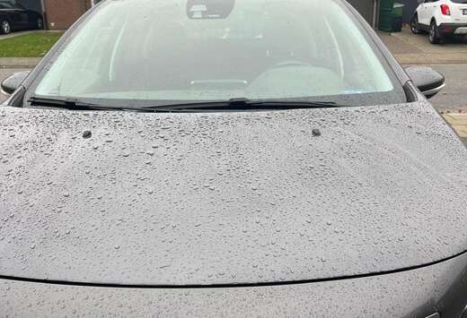 Peugeot 1.2 PureTech  Panodak + Camera + Sensors