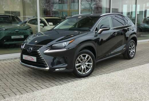 Lexus Hybrid AWD Executive Line +LEDER +TREKHAAK