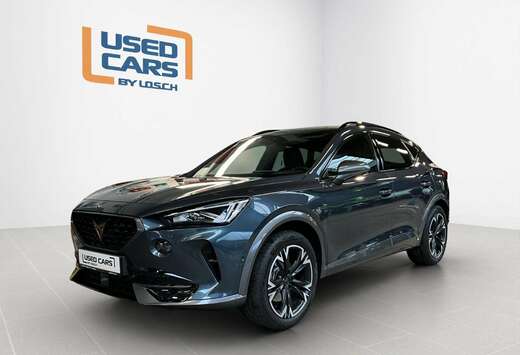 DSG+RearView+P.DriveL