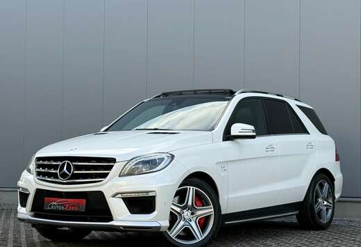 Mercedes-Benz V8 BITURBO 557PK LichtevrachtMetZetels  ...