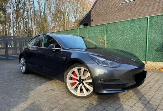 Tesla Langstreckenbatt. Allradantrieb Dual Motor Perf ...